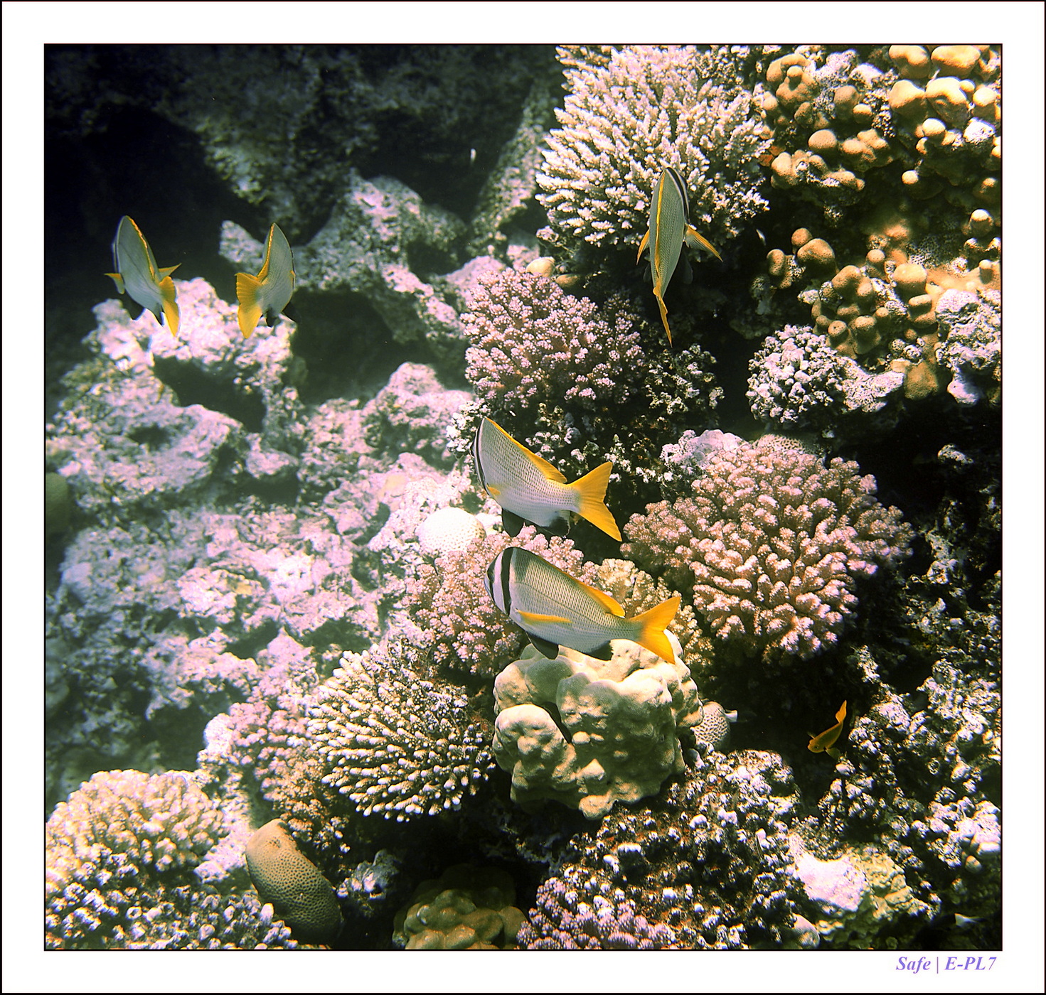 Hurghada - Juillet 2021 - 079